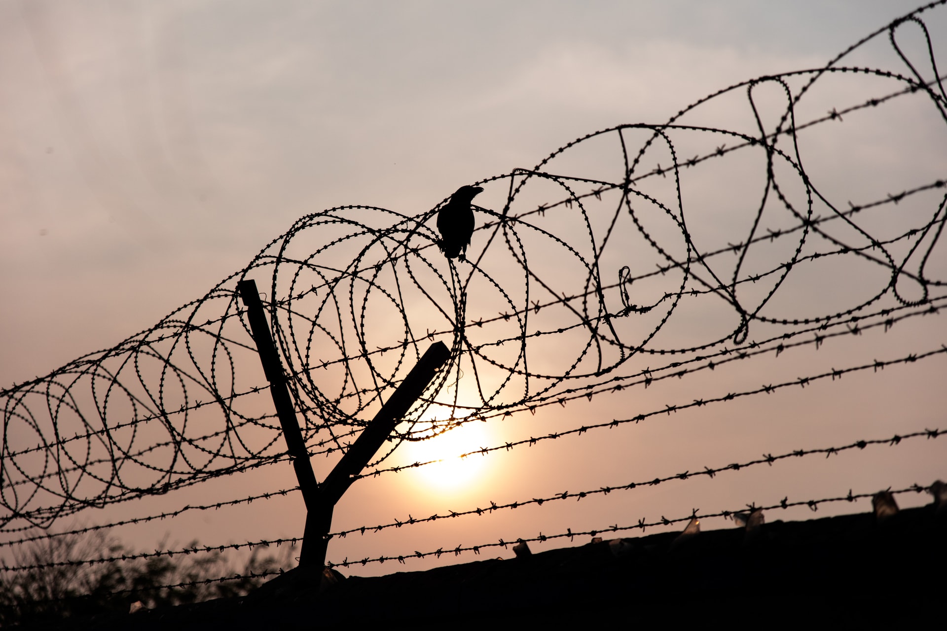 “Press freedom state of emergency” amid unfolding geopolitical crisis