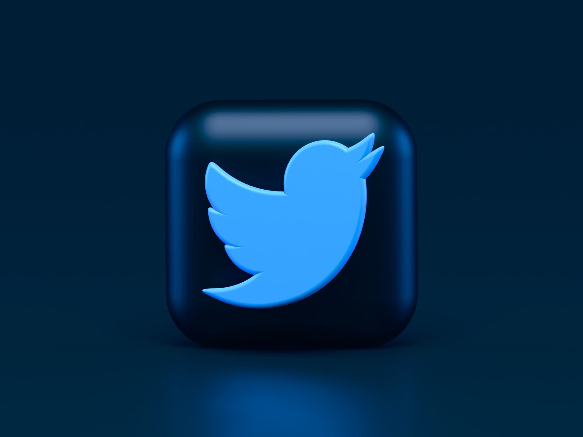 What could Elon Musk’s activity at Twitter mean for journalism and journalists using it
